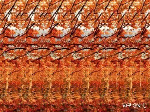 真正的裸眼3d图片你能看出几个图片