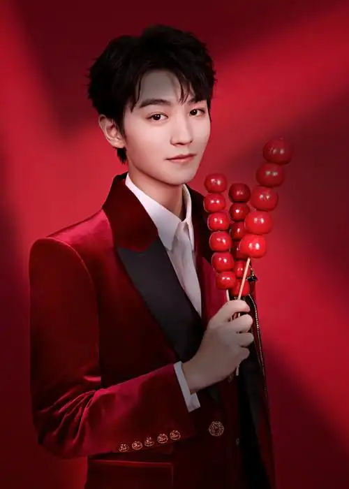 王俊凯红丝绒西装造型