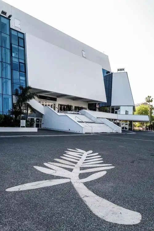 第73届戛纳电影节将不会以原有形式举行(7)