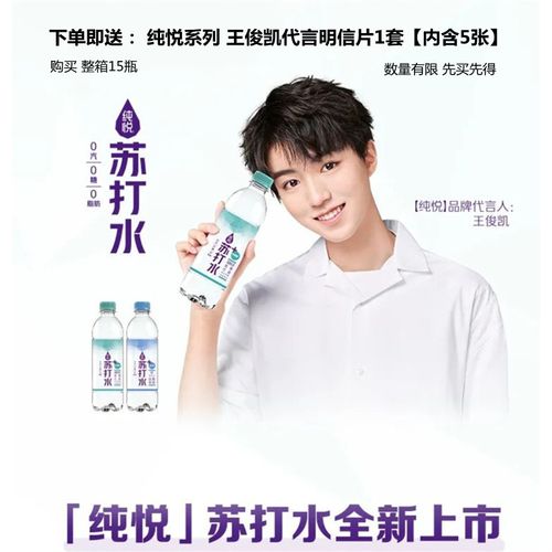 纯悦烟酸风味味无柑橘苏打水蓝莓含锌整箱15瓶果味