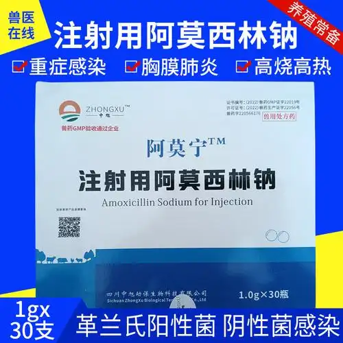 兽药兽用阿莫西林粉针阿莫宁牛羊猪高热混感先锋头孢30瓶/盒国标