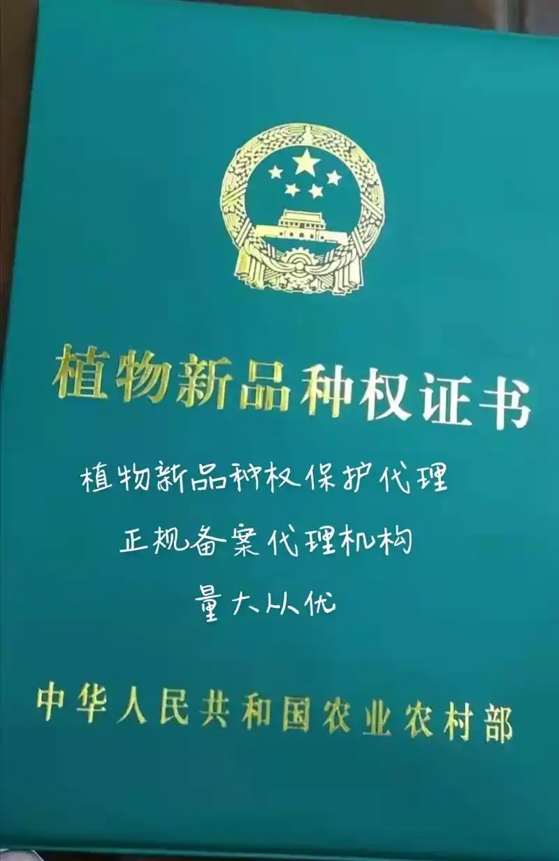 植物新品种权保护 #品种保护 #图片来自测试机构  - 抖音