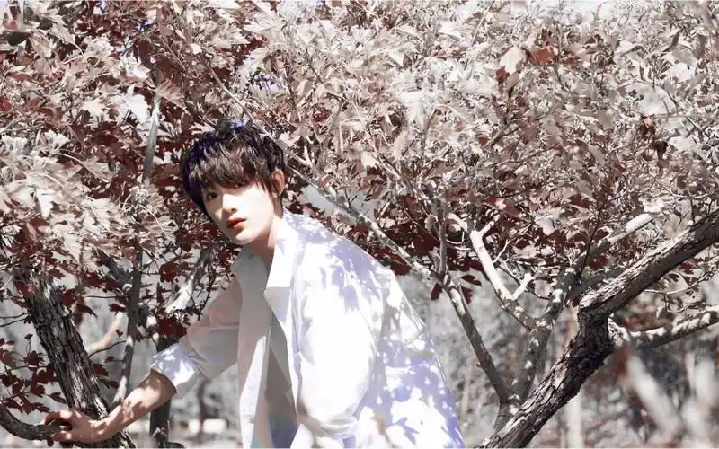 丁程鑫有你在的地方世界都亮了