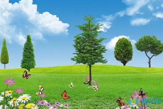 春天大树装饰图片