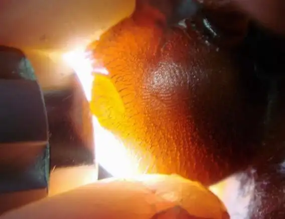 (转载)传奇犀牛角制成奈何杯 4000万元拍品创纪录(组图)