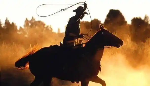 开朗的西部牛仔,进取的美国精神,品"精神小伙"背后的国家文化_生活