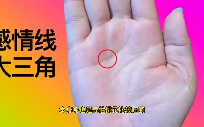 女人手相罕见的"凤尾纹",极其富贵吉祥的符号,一旦有了必定是阔太太命