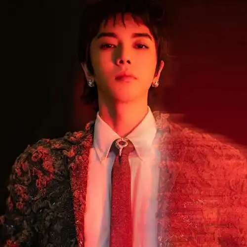 华晨宇仙气头像