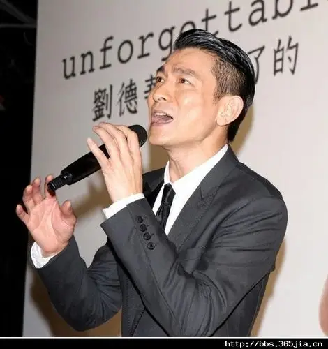 1,刘德华     这位天王的大背头还是很华丽啊