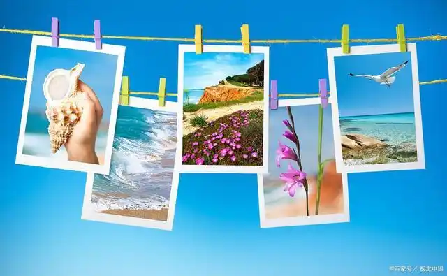 如果你正在使用华为手机,那么是否知道华为手机相册应用中的拼图功能