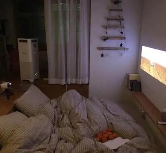 卧室地面上挖个大坑天天晚上睡里面连床都没不膈应吗