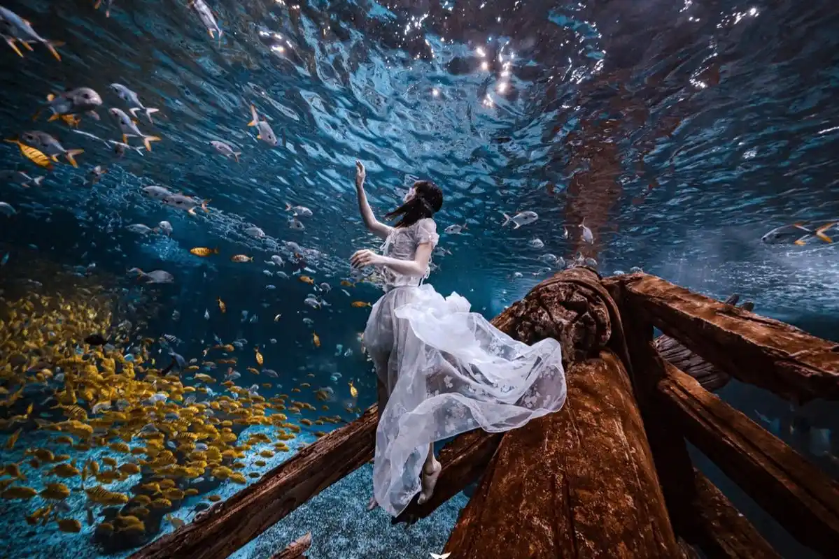 重庆自由潜水|被鲨鱼环绕的水下沉船女神像 沉船一直是我喜爱的水下潜