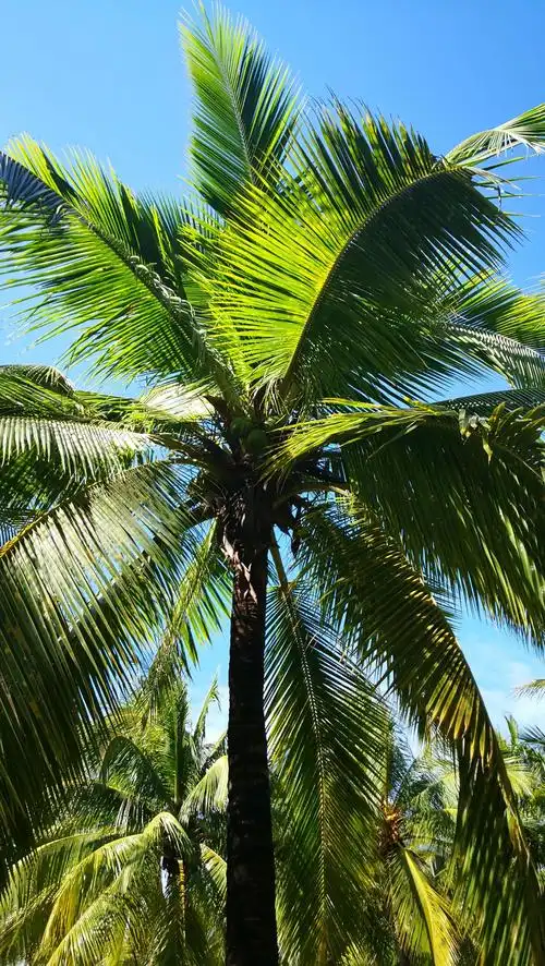 三亚海岸线随拍