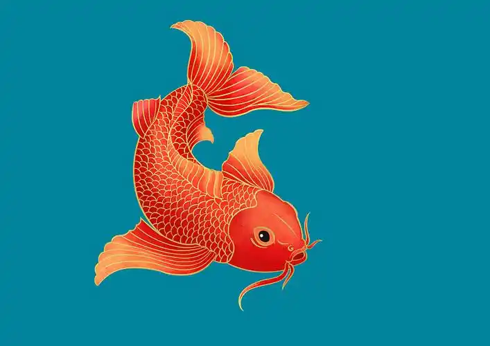 卡通红色锦鲤动物插画图片