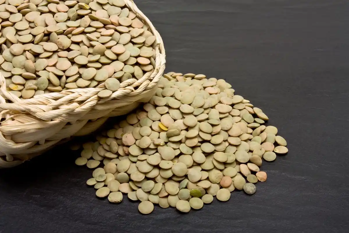 丝瓜子最好不要扔,便宜好用,轻松的缓解全身疼痛 随着年龄的增长,我们