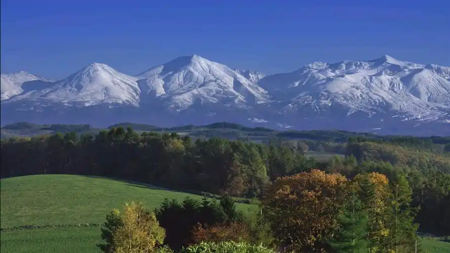 无损4k视频 1分钟1g大小