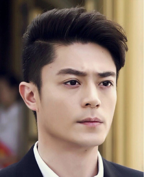 70后男明星中他是较早成名,同时又还蛮常青树的一个男明星.