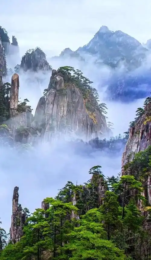 640_1103竖版 竖屏