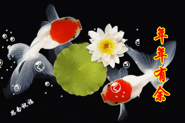 638_424gif 动态图 动图