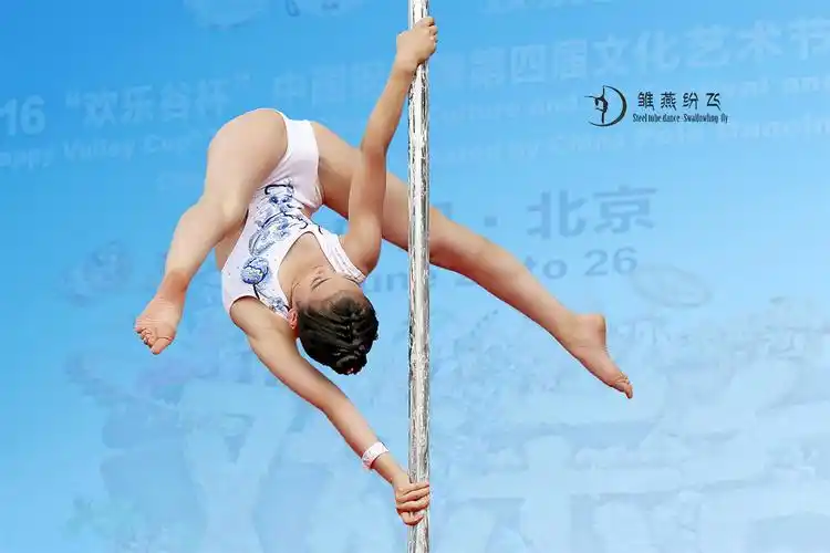 钢管舞系列之——雏燕纷飞