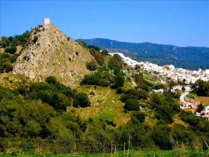 piano 74 jimena de la frontera, los alcornocales natural park