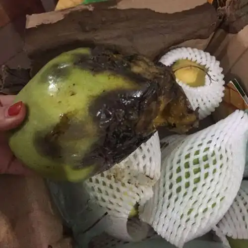 【汇林】进口越南金煌芒新鲜水果包邮 热带大青芒果 5斤精品装 果约