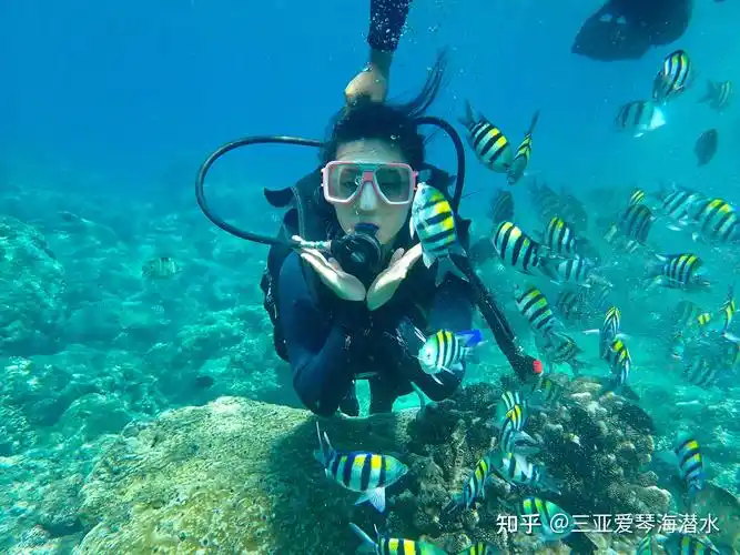 三亚旅行潜水为什么选亚龙湾附最强潜水攻略详细版