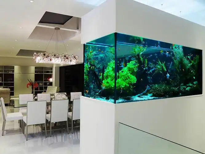 鱼缸定做厂家|海洋鱼缸定做|郑州大型鱼缸定做价格|郑州水族箱|郑州龙