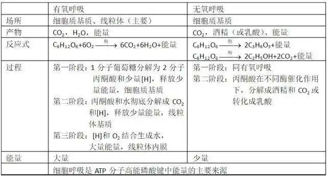 细胞呼吸:有机物在细胞内经过一系列氧化分解,生成co2或其他产物,释放