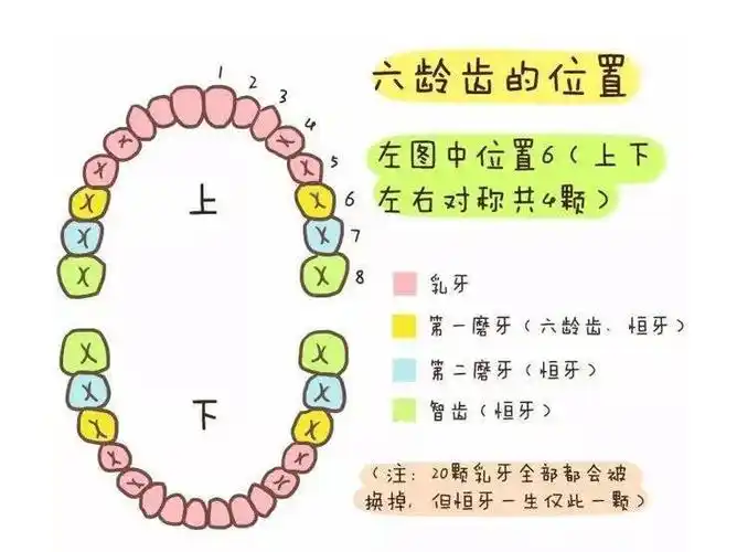健康口腔从保护牙齿开始