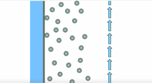 水在燃料电池阴极是怎么生成与流动的
