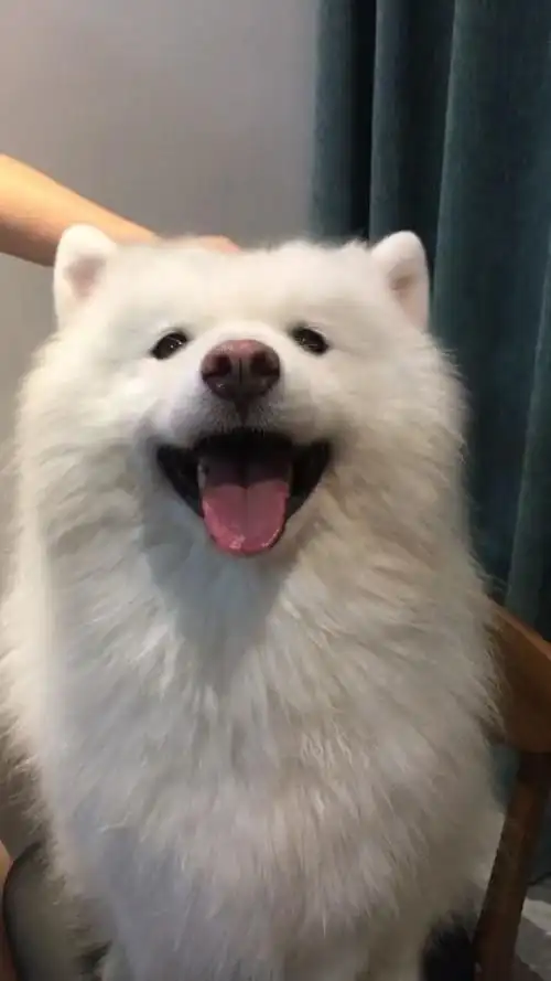 720_1280竖版 竖屏