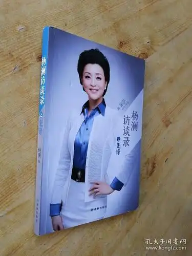 杨澜访谈录之先锋