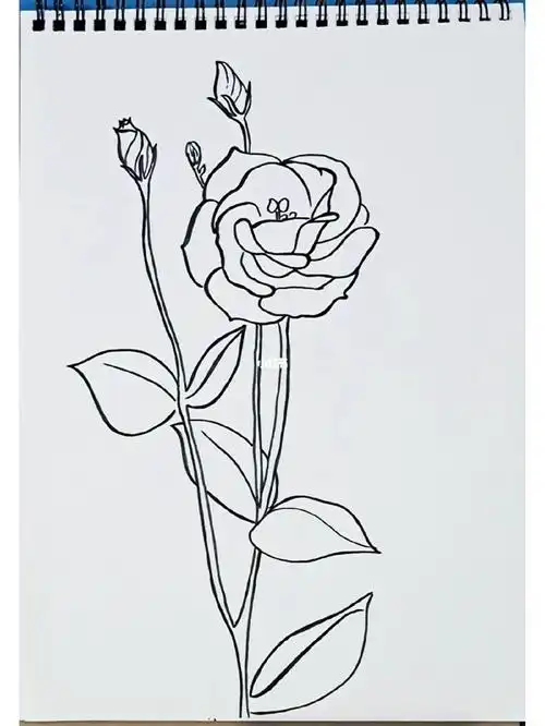 挑战花卉简笔画