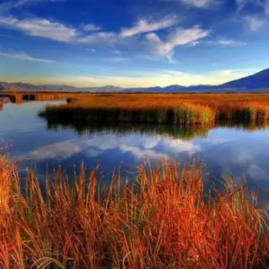 很优质很好看的风景大气招财头像很有质感很精致的风景招财头像