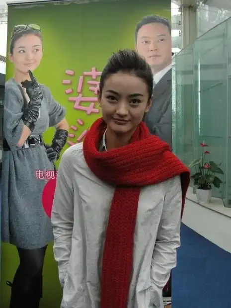 婆婆来了演员表(婆婆来了演员表介绍董维嘉)