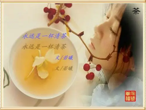 引用 永远是一杯清茶