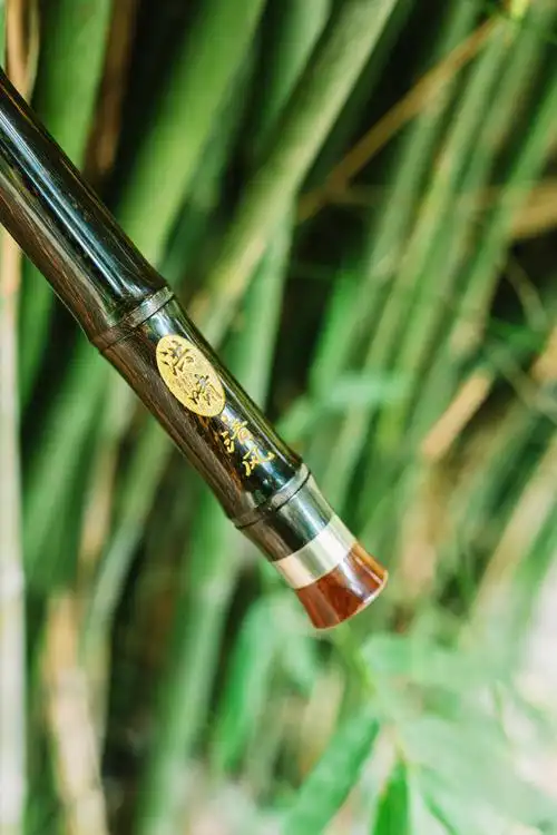 巴乌 经典款清风【横吹竹节款】