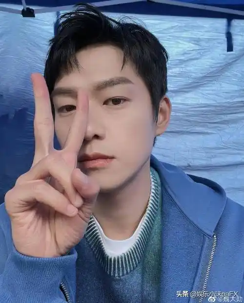 魏大勋求婚秦岚被拒?_家人_年龄_女生