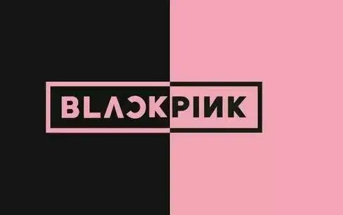 blackpink这个组合名在看起来很美的粉色中稍微加入