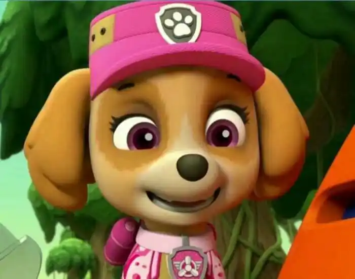 汪汪队立大功中成员的名字有哪些呢?