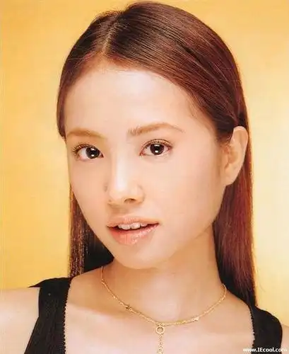 蔡依林是否整容了?