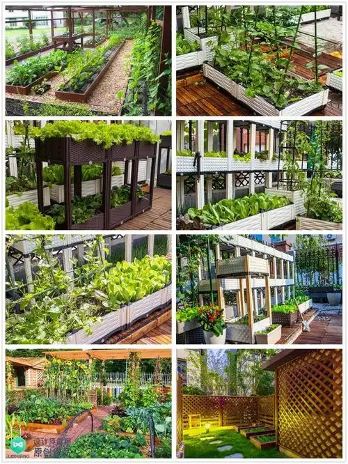 庭院菜园怎么设计最好看264张案例图布置详解简直太实用了