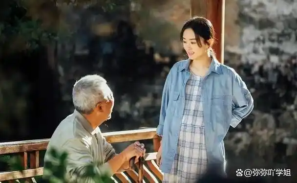 17部赵丽颖演的电视剧来咯