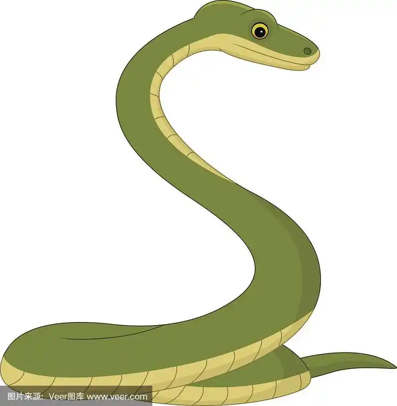 蛇卡通孤立在白色背景