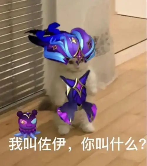 英雄联盟猫猫表情包第六期