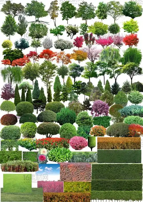 绿色树木草地素材集合psd分层素材