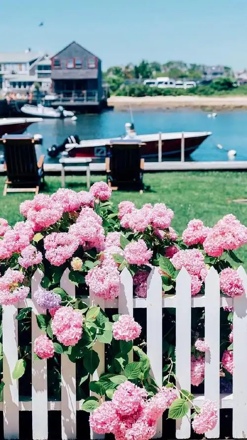 花团锦簇唯美风景图片手机壁纸