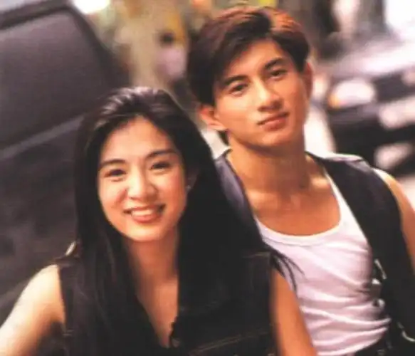 1994年杨采妮吴奇隆合作《梁祝》相识相恋,后来她与金城武搭合作电影