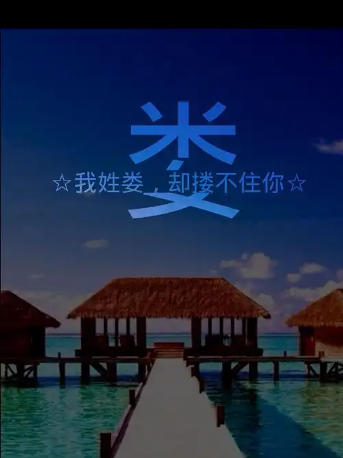 谁会做那个姓氏的图片!求解